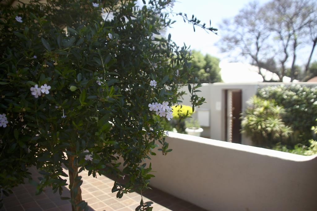 Melville Manor Guest House Johannesburg Exteriér fotografie