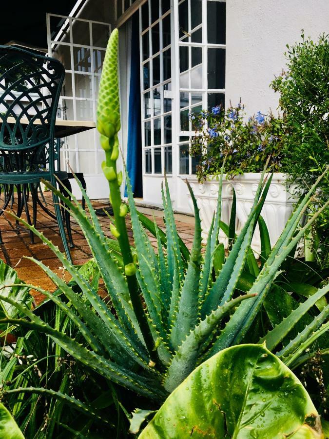 Melville Manor Guest House Johannesburg Exteriér fotografie